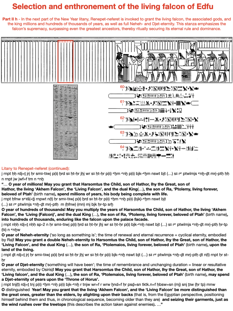 Selection and enthronement of the living falcon of Edfu. Part II h - In the next part of the New Year litany, Renepet-neferet is invoked to grant the living falcon, the associated gods, and the king millions and hundreds of thousands of years, as well as full Neheh- and Djet-eternity. This stanza emphasizes the falcon’s supremacy, surpassing even the greatest ancestors, thereby ritually securing its eternal rule and dominance.