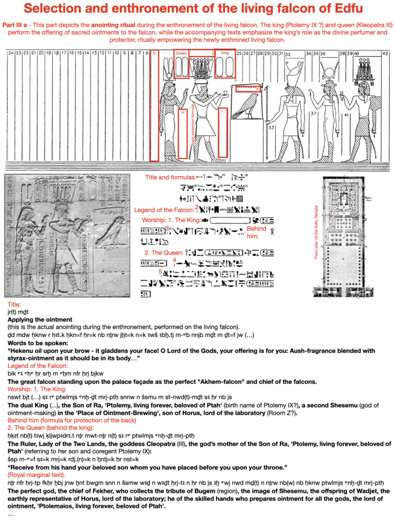 Selection and enthronement of the living falcon of Edfu.  Part III a - This part depicts the anointing ritual during the enthronement of the living falcon. The king (Ptolemy IX ?) and queen (Kleopatra III) perform the offering of sacred ointments to the falcon, while the accompanying texts emphasize the king’s role as the divine perfumer and protector, ritually empowering the newly enthroned living falcon.