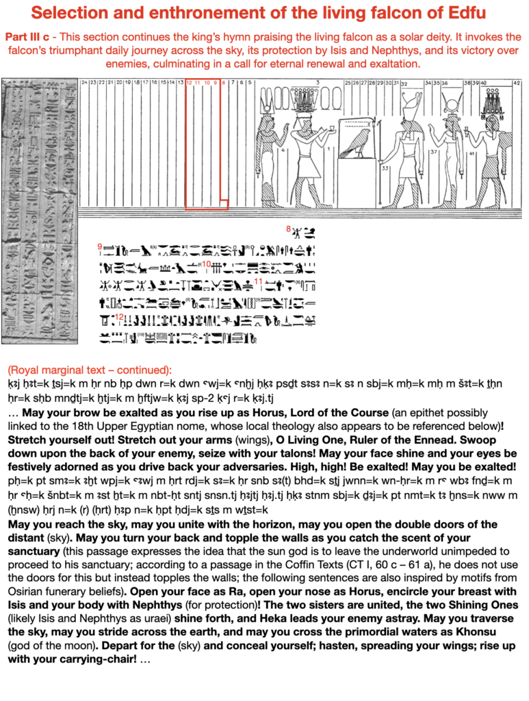 Selection and enthronement of the living falcon of Edfu. Part III c - This section continues the king’s hymn praising the living falcon as a solar deity. It invokes the falcon’s triumphant daily journey across the sky, its protection by Isis and Nephthys, and its victory over enemies, culminating in a call for eternal renewal and exaltation.
