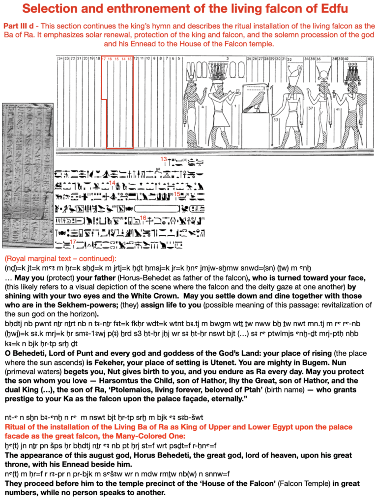Selection and enthronement of the living falcon of Edfu. Part III d - This section continues the king’s hymn and describes the ritual installation of the living falcon as the Ba of Ra. It emphasizes solar renewal, protection of the king and falcon, and the solemn procession of the god and his Ennead to the House of the Falcon temple.