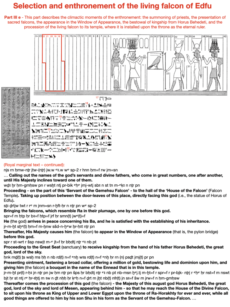 Selection and enthronement of the living falcon of Edfu. Part III e - This part describes the climactic moments of the enthronement: the summoning of priests, the presentation of sacred falcons, the appearance in the Window of Appearance, the bestowal of kingship from Horus Behedeti, and the procession of the living falcon to its temple, where it is installed upon the throne as the eternal ruler.