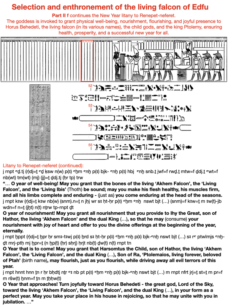Selection and enthronement of the living falcon of Edfu.  Part II f continues the New Year litany to Renepet-neferet. The goddess is invoked to grant physical well-being, nourishment, flourishing, and joyful presence to Horus Behedeti, the living falcon (in its various names), the child gods, and the king Ptolemy, ensuring health, prosperity, and a successful new year for all. 