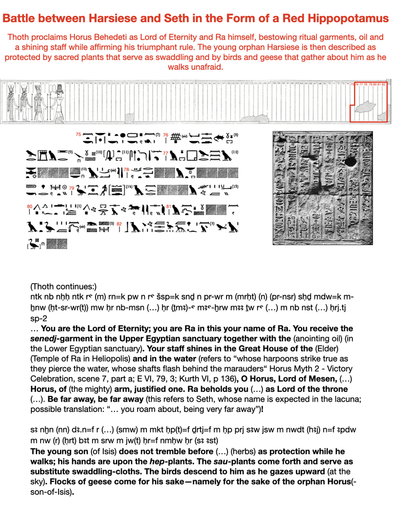 Thoth proclaims Horus Behedeti as Lord of Eternity and Ra himself, bestowing ritual garments, oil and a shining staff while affirming his triumphant rule. The young orphan Harsiese is then described as protected by sacred plants that serve as swaddling and by birds and geese that gather about him as he walks unafraid.
