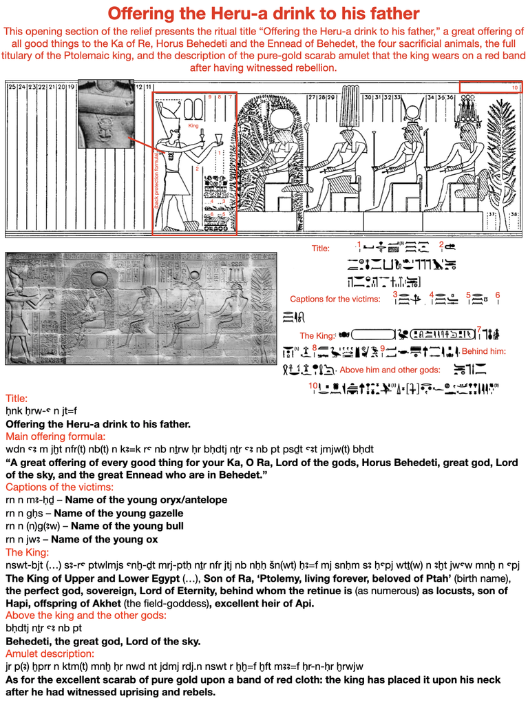 This opening section of the relief presents the ritual title “Offering the Heru-a drink to his father,” a great offering of all good things to the Ka of Re, Horus Behedeti and the Ennead of Behedet, the four sacrificial animals, the full titulary of the Ptolemaic king, and the description of the pure-gold scarab amulet that the king wears on a red band after having witnessed rebellion.